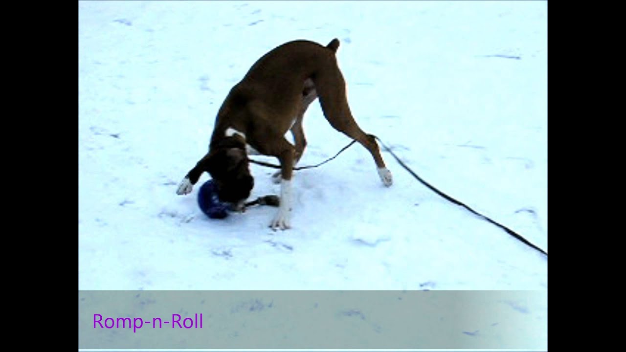 Jolly Romp-n-Roll