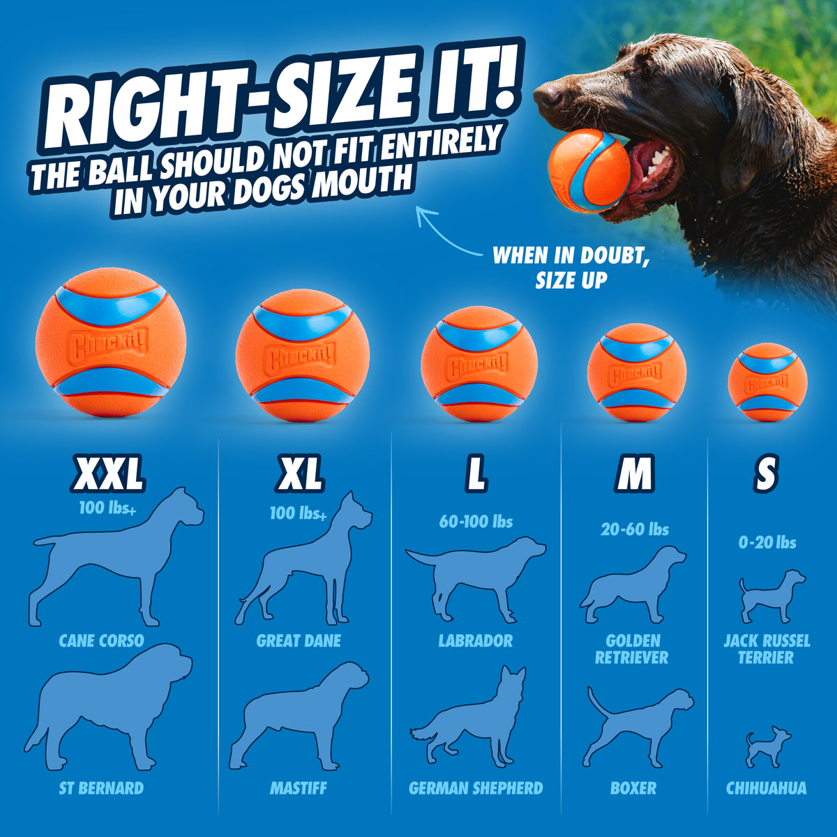 Chuckit! Sport Launcher — Ball Size: L, Launcher Length: 66 CM