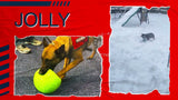 Jolly Soccer Ball
