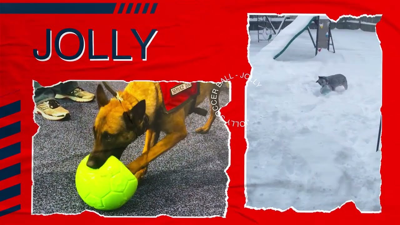 Jolly Soccer Ball