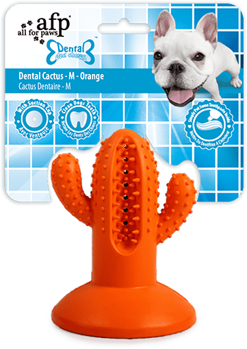 AFP Dental Chews - Dental Cactus detail 3