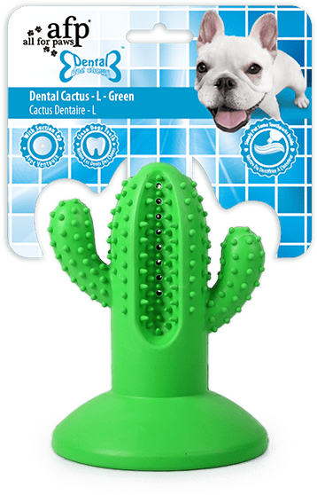 AFP Dental Chews - Dental Cactus detail 5