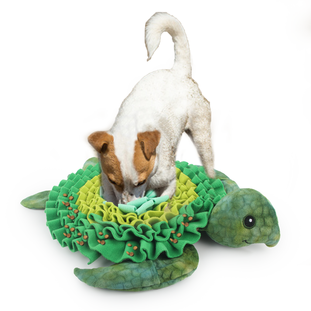 AFP Dig It - Treat Mat Sea turtle detail 2