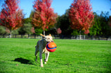 Chuckit! Kick Fetch Dog L product photo