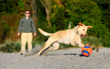 Chuckit! Kick Fetch Dog L product photo