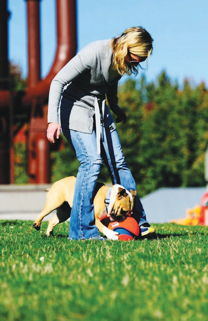 Chuckit! Kick Fetch Dog L product photo