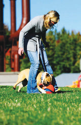 Chuckit! Kick Fetch Dog L product photo