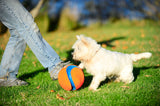 Chuckit! Kick Fetch Dog L product photo