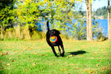 Chuckit! Kick Fetch Dog L product photo