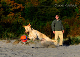 Chuckit! Kick Fetch Dog L product photo