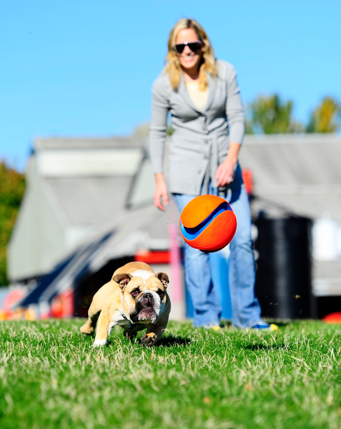 Chuckit! Kick Fetch Dog L product photo