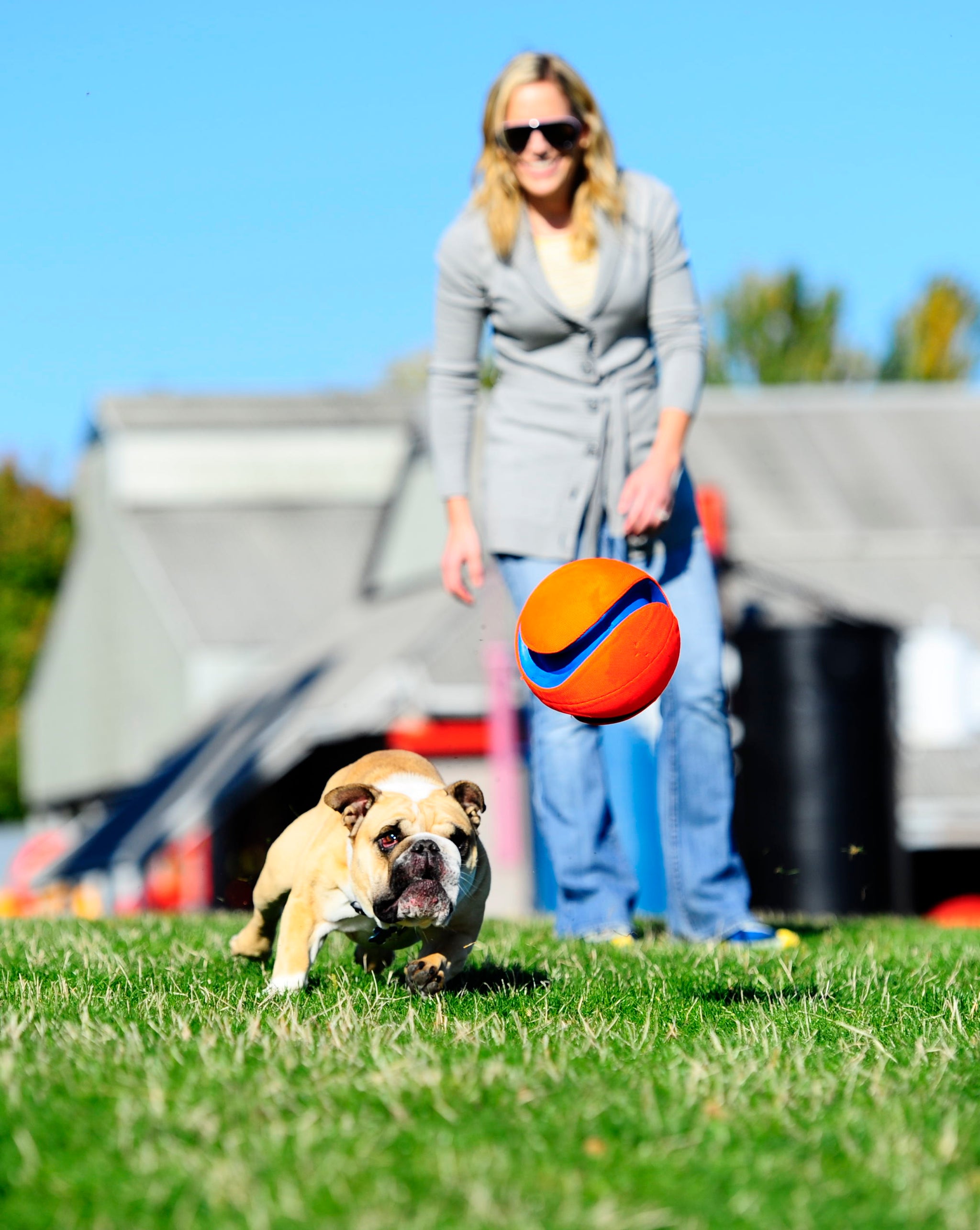 Chuckit! Kick Fetch Dog L product photo
