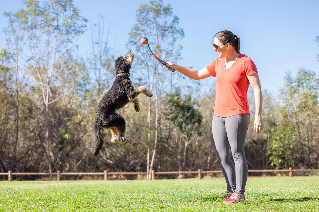 Chuckit! Fetch & Fold Launcher — Model: Mini