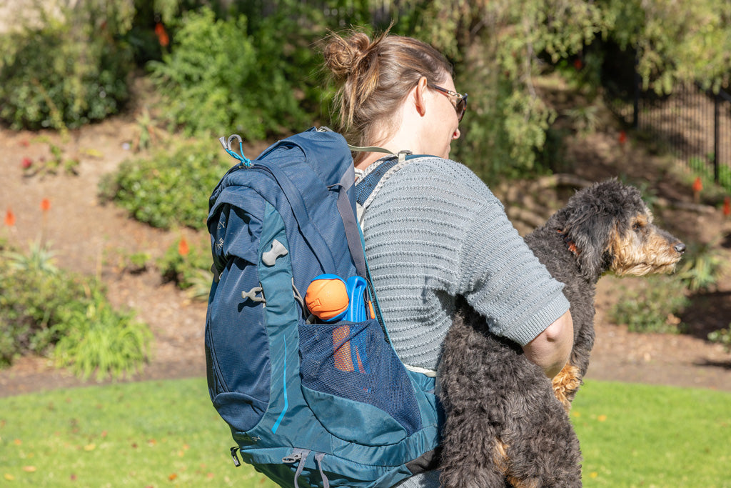 Chuckit! Fetch & Fold Launcher — Model: Mini