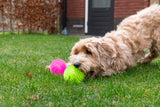 Dog Comets Exoplanet Spiky Ball S Pink product photo