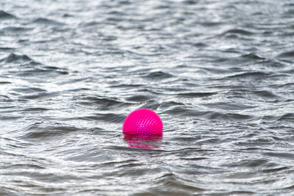 Dog Comets Exoplanet Spiky Ball S Pink product photo