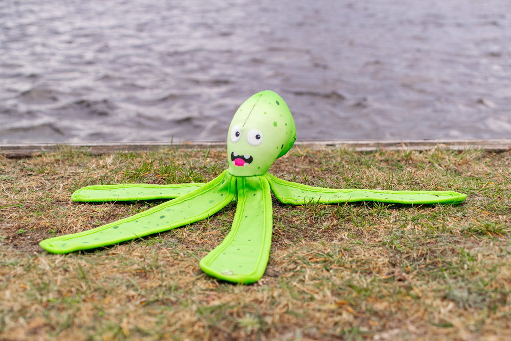 Dog Comets Alien Octo L Green product photo