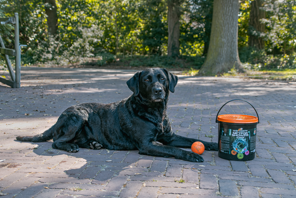 Dog Comets Meteor Shower (Bucket with 6 M Stardust balls) product photo