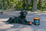Dog Comets Meteor Shower (Bucket with 6 M Stardust balls) product photo