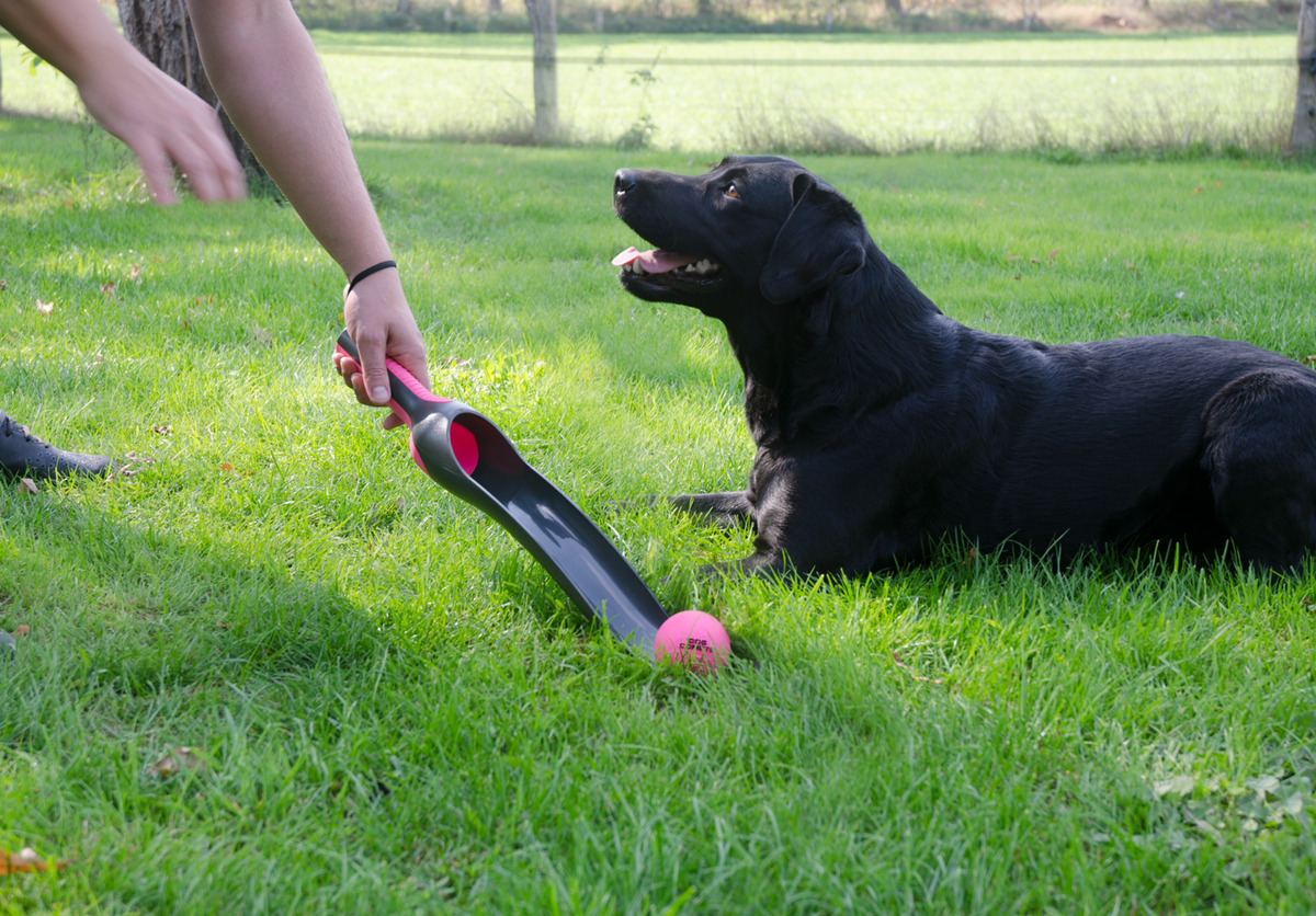 Dog Comets Star Launcher — Color: Pink