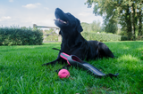 Dog Comets Star Launcher — Color: Pink