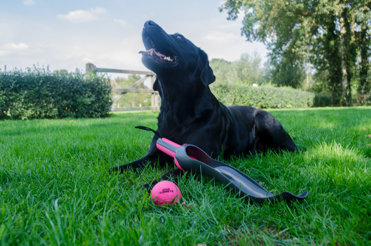 Dog Comets Star Launcher — Color: Pink