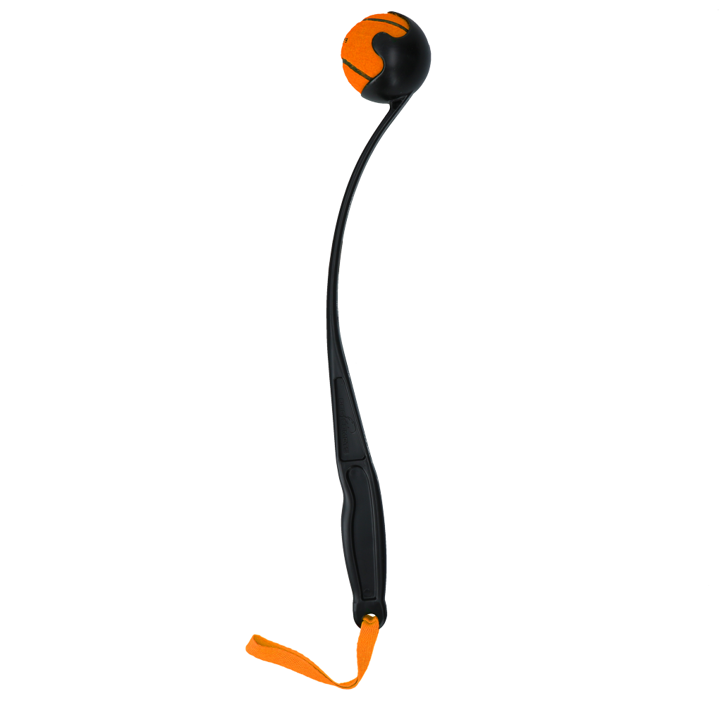 Dog Comets Launcher — Color: Orange, Size: M