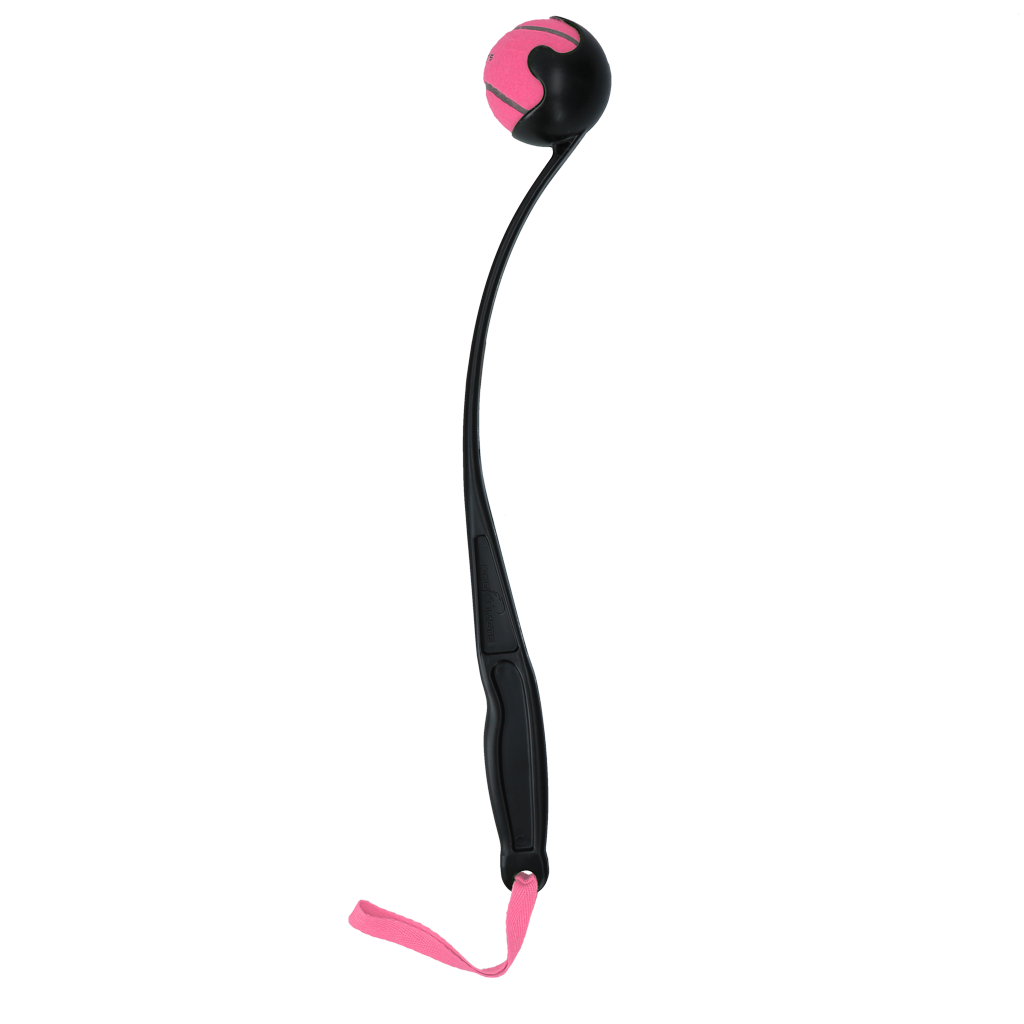 Dog Comets Launcher — Color: Pink, Size: M