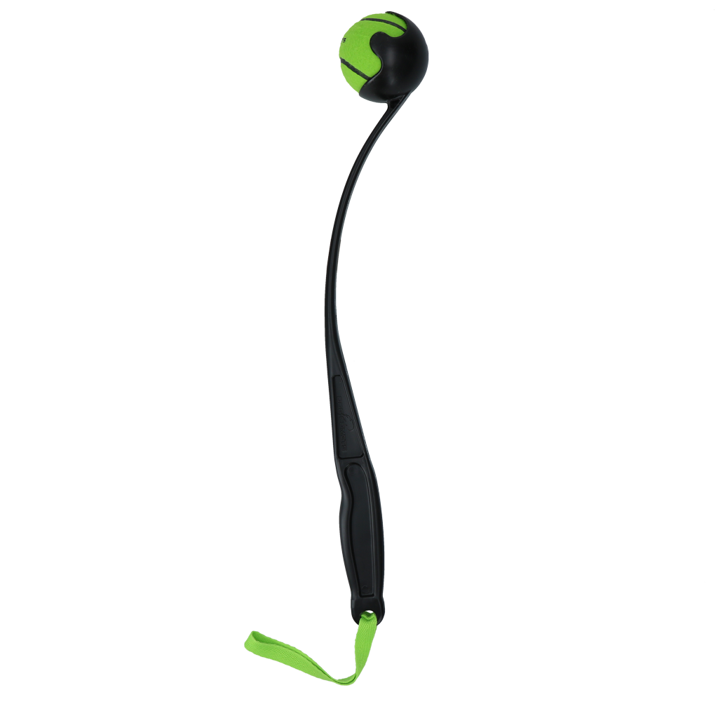 Dog Comets Launcher — Color: Green, Size: M
