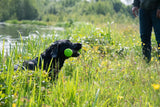 Dog Comets Meteor Throwing stick — Color: Green, Size: L