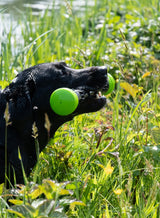 Dog Comets Meteor Throwing stick — Color: Green, Size: L