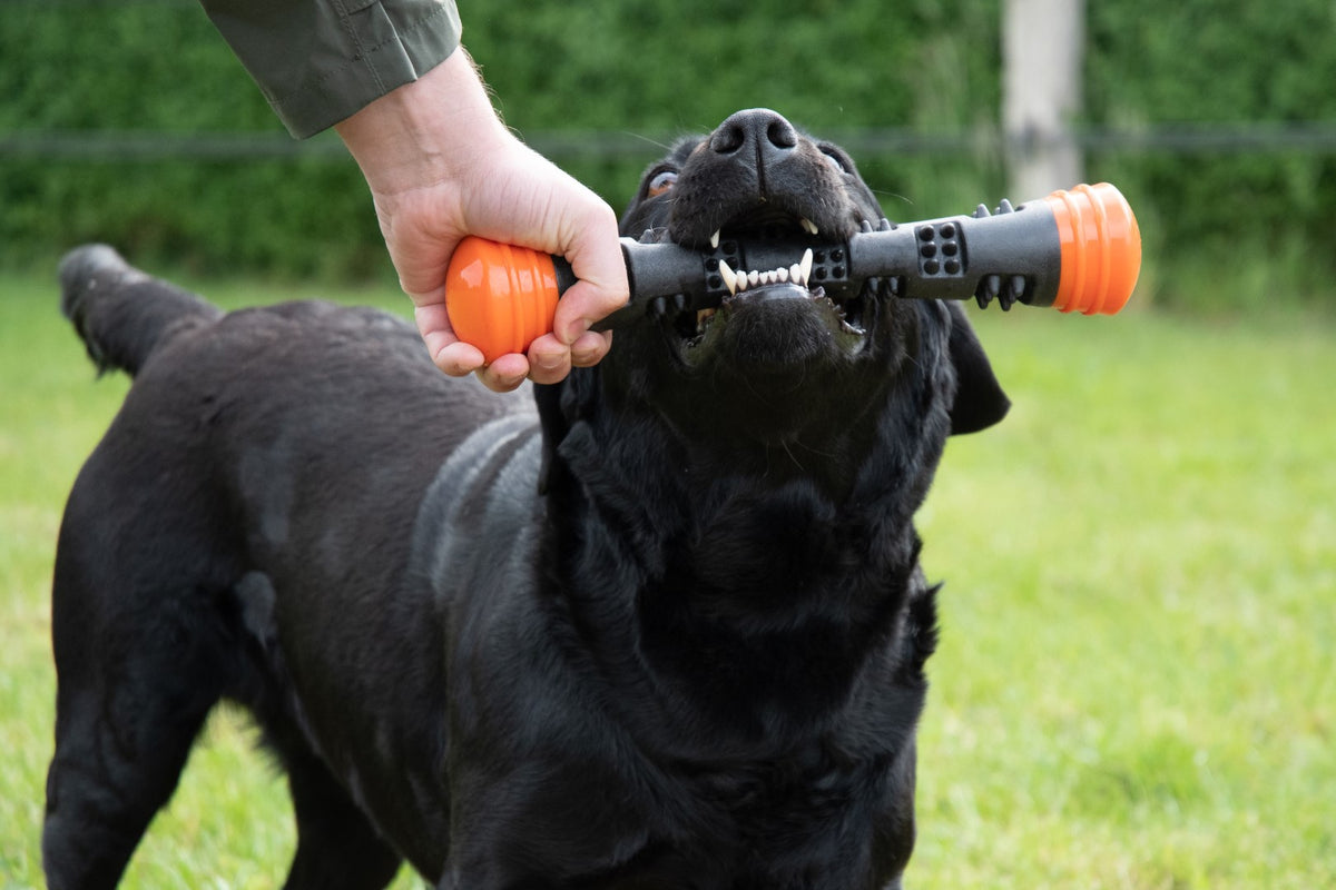 Dog Comets Meteor Throwing stick — Color: Orange, Size: L