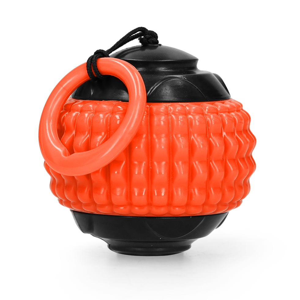 Dog Comets Blazar Jet Orange product photo