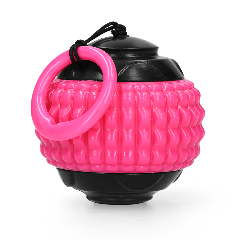 Dog Comets Blazar Jet Pink product photo