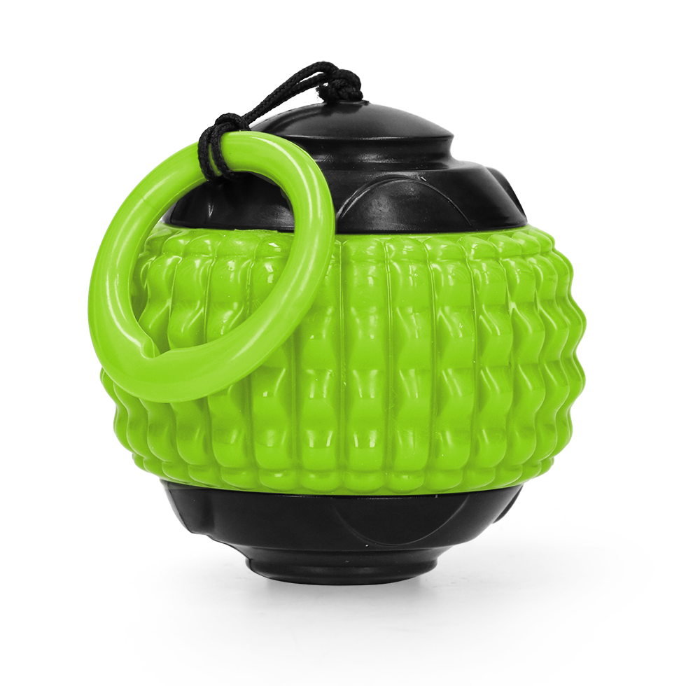 Dog Comets Blazar Jet Green product photo
