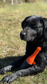 Dog Comets Bobber Green product photo