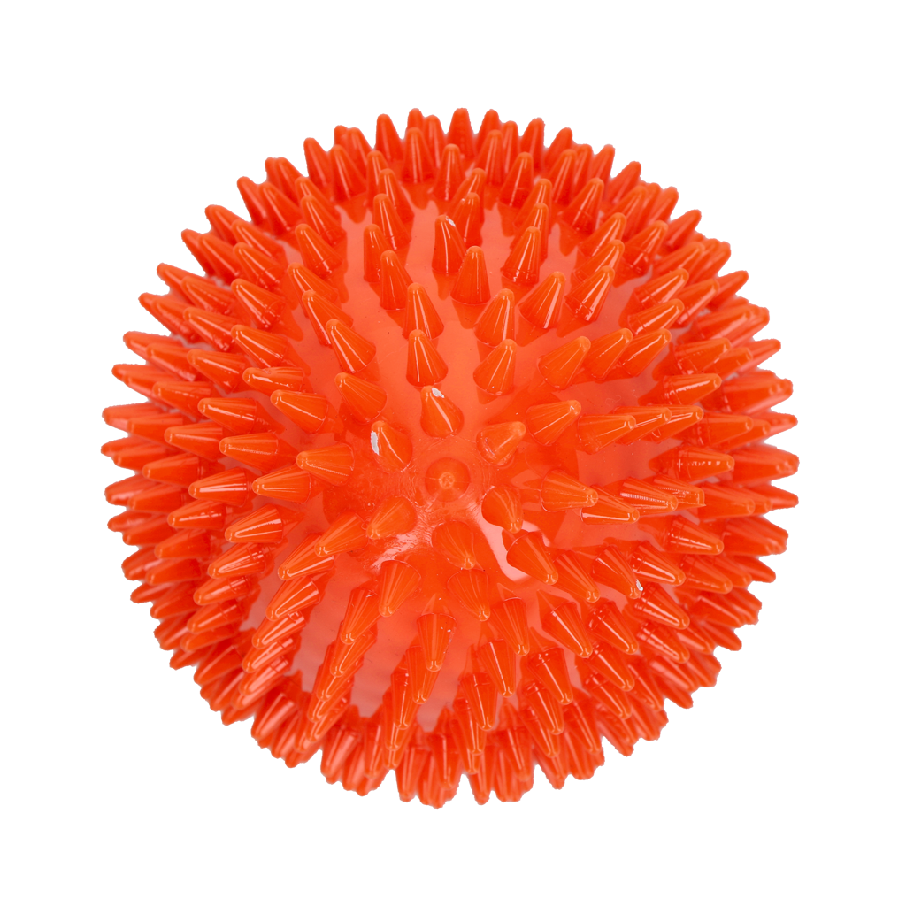 Dog Comets Cosmic Egg Orange L - gallery image 3