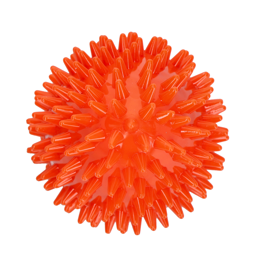 Dog Comets Cosmic Egg Orange M - gallery image 3