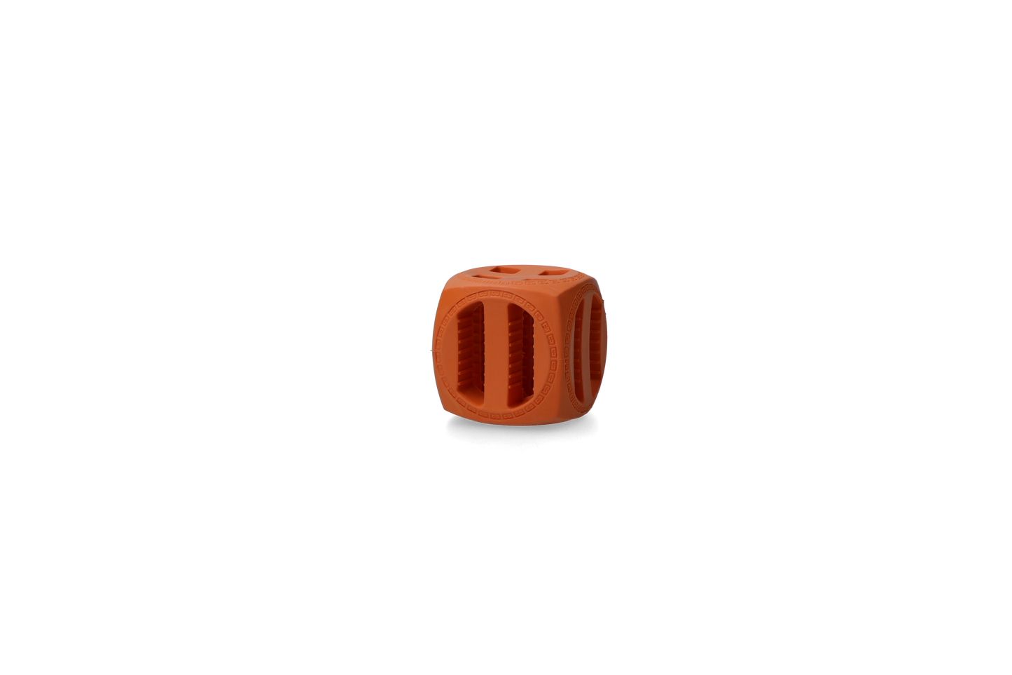 Dog Comets Pollux Orange product photo
