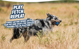 Chuckit! Ultra Squeaker Ball