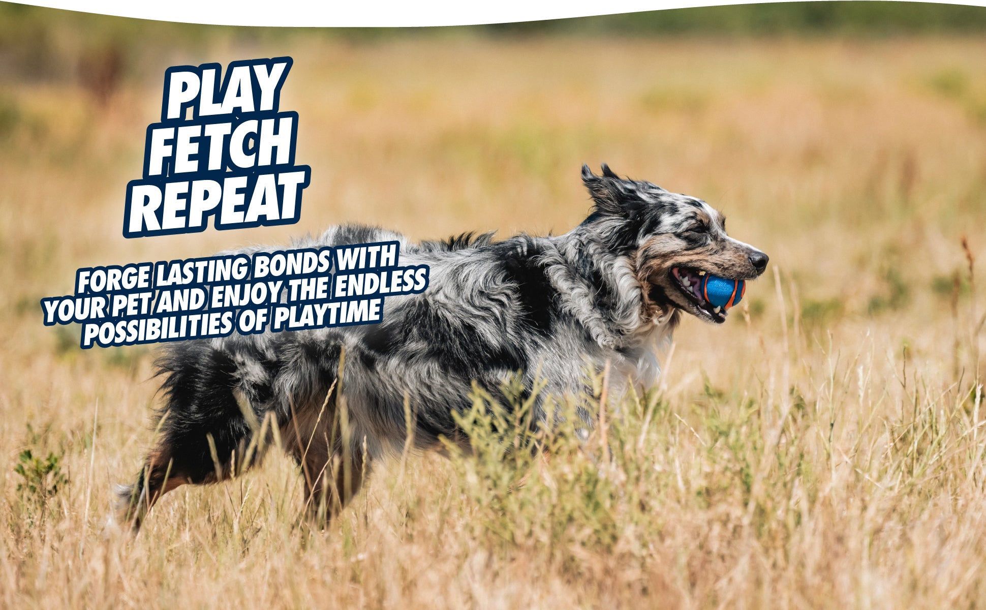 Chuckit! Ultra Squeaker Ball