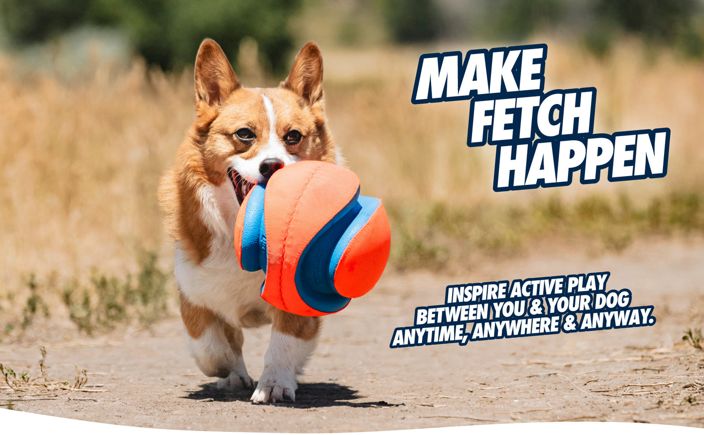 Chuckit! Kick Fetch Dog