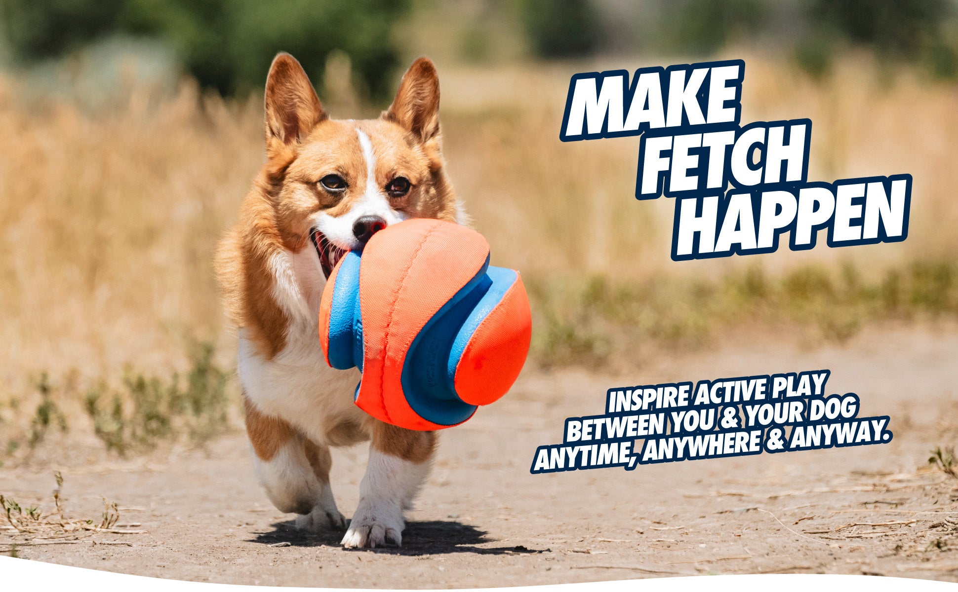 Chuckit! Kick Fetch Dog