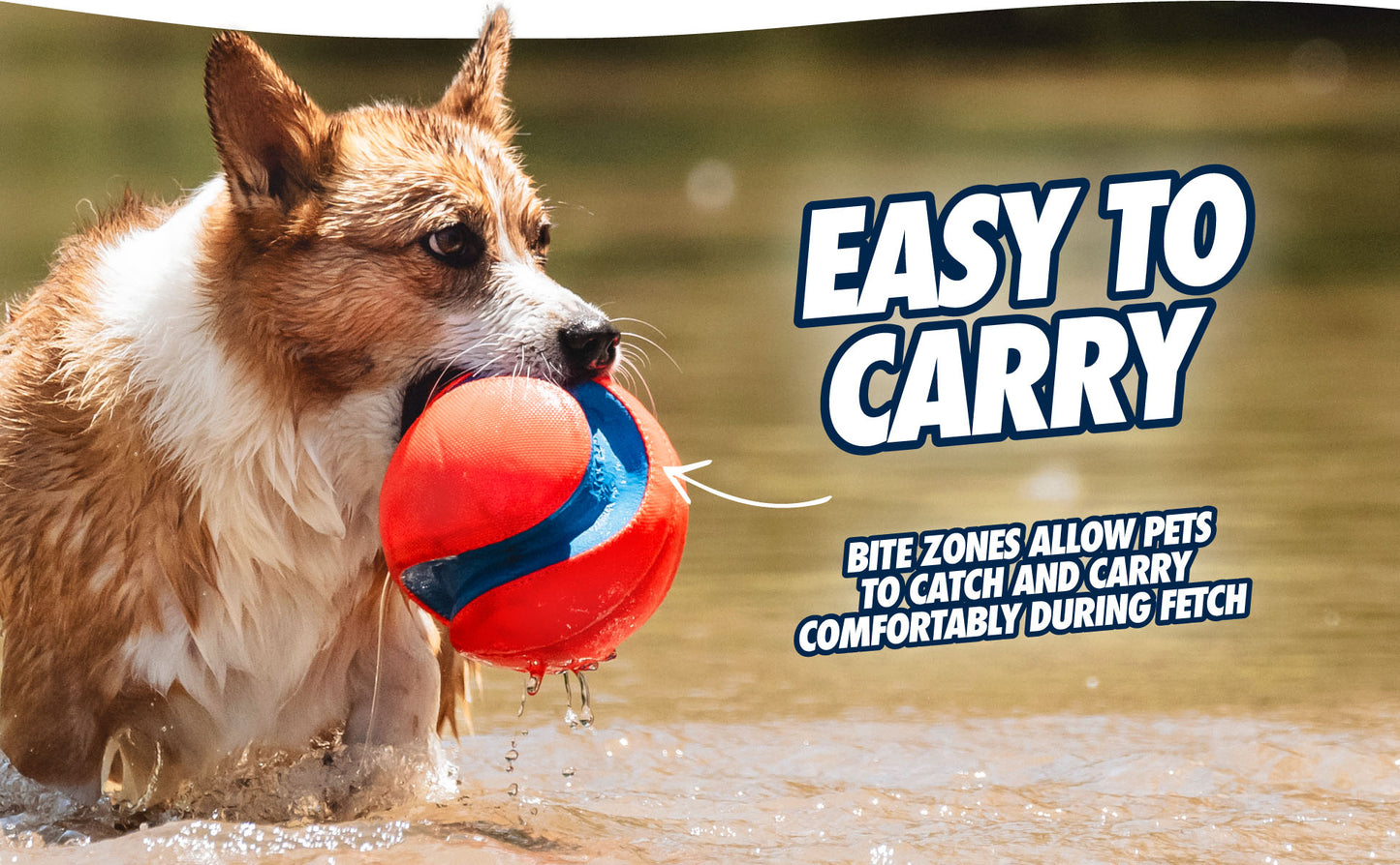 Chuckit! Kick Fetch Dog