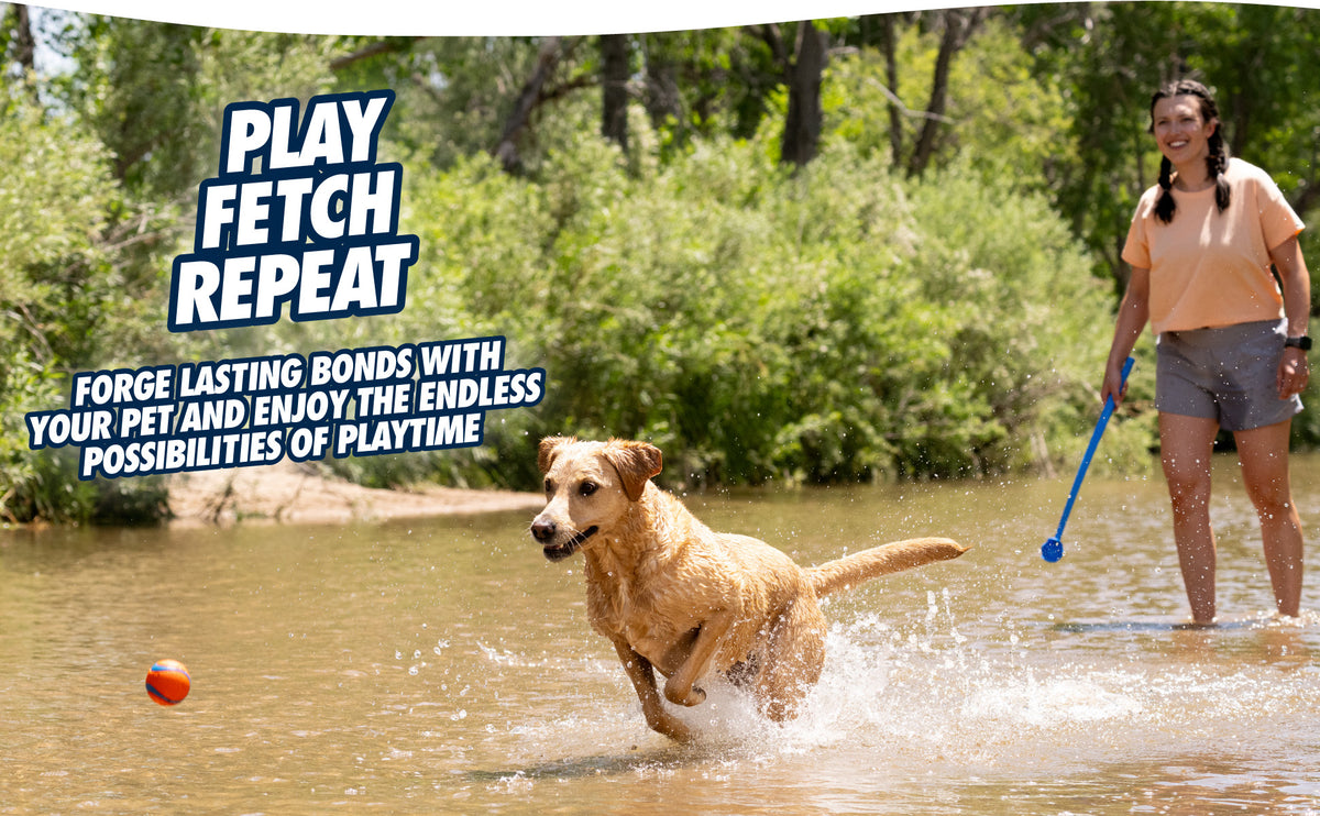 Chuckit! Sport Launcher — Ball Size: M, Launcher Length: 63 CM