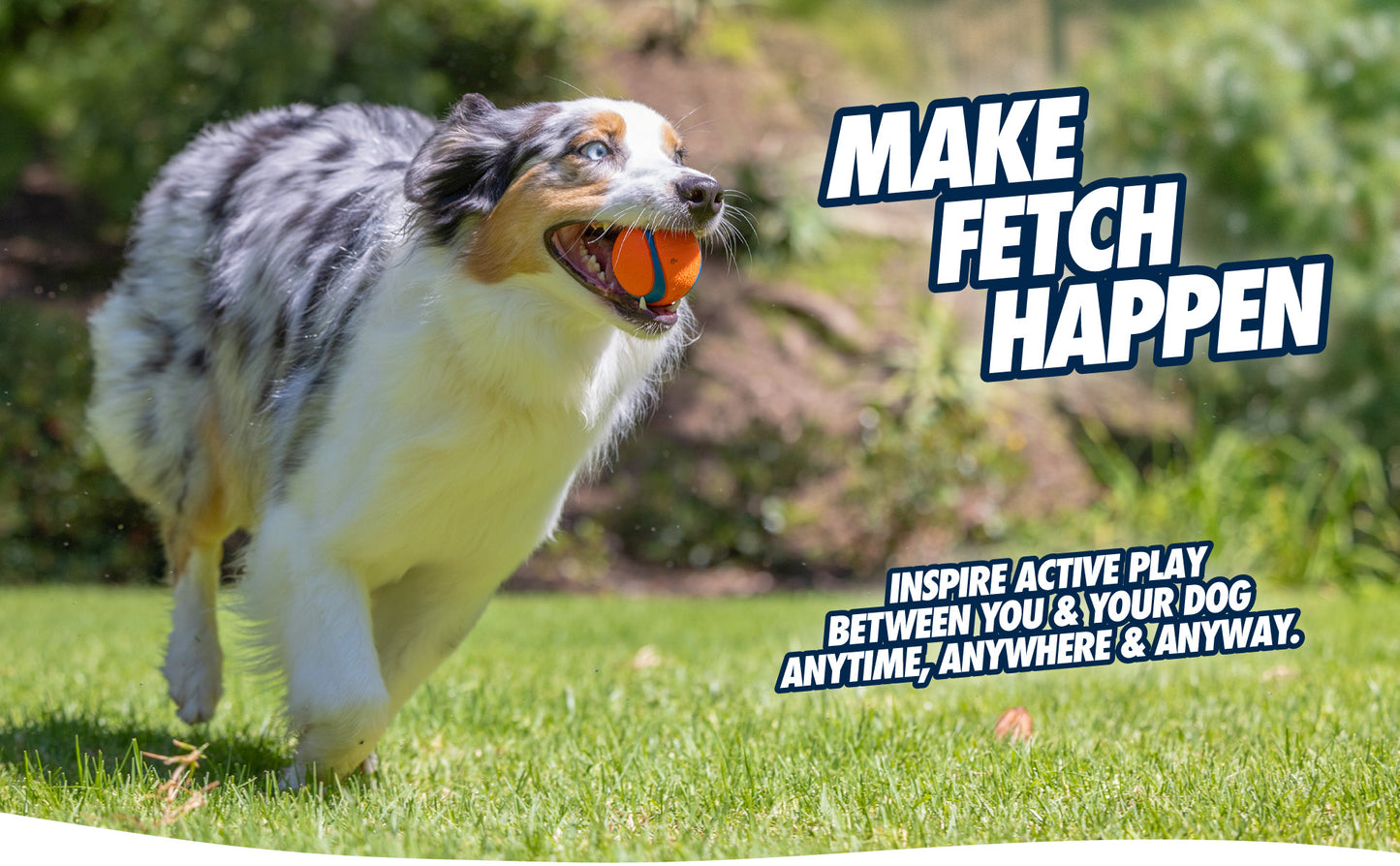 Chuckit! Ultra Ball