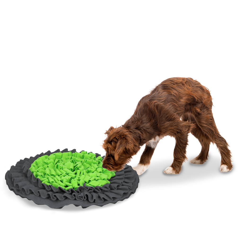 Eat Slow Live Longer Snuffle Mat detail 2
