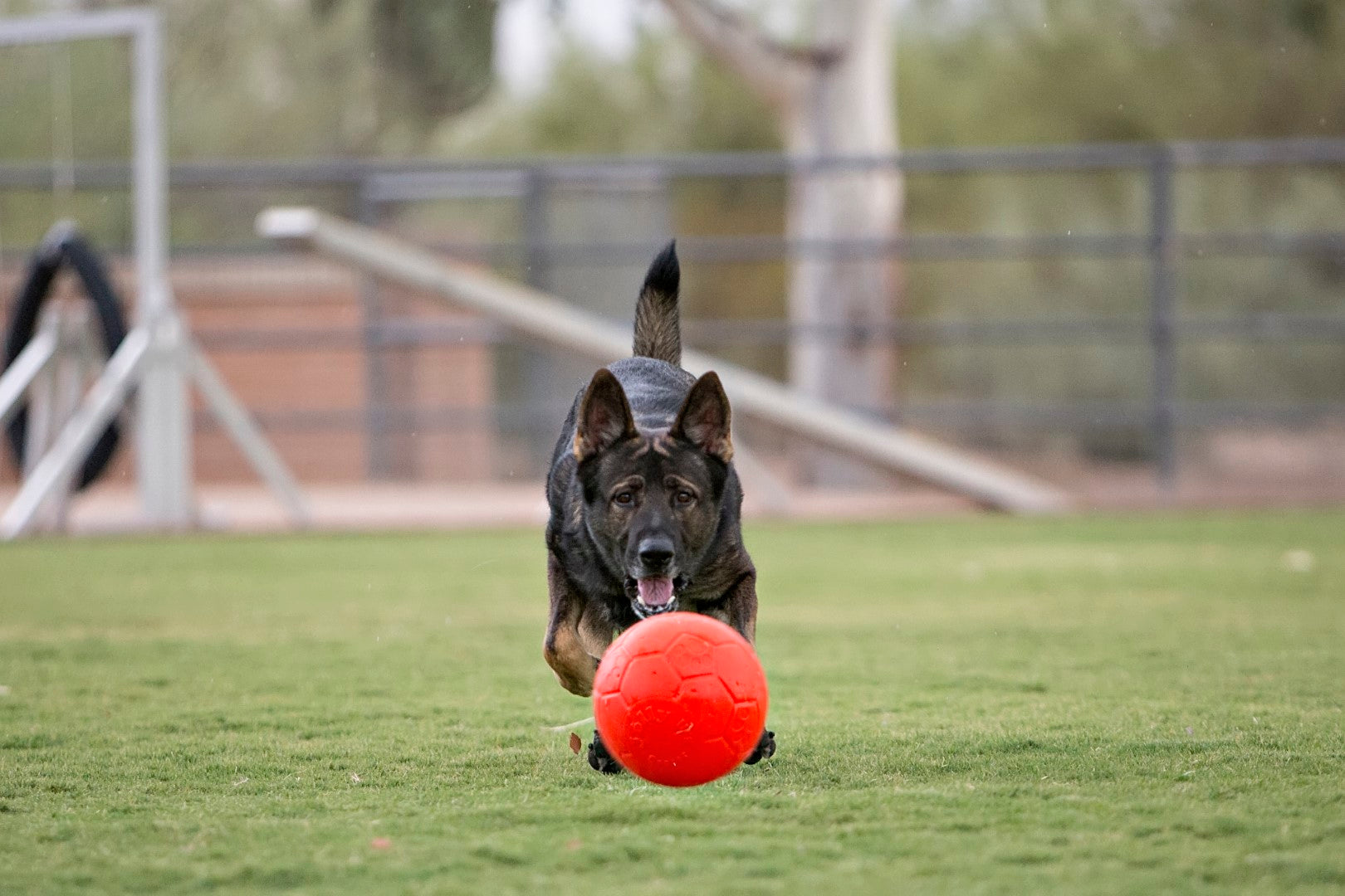 Jolly Soccer Ball