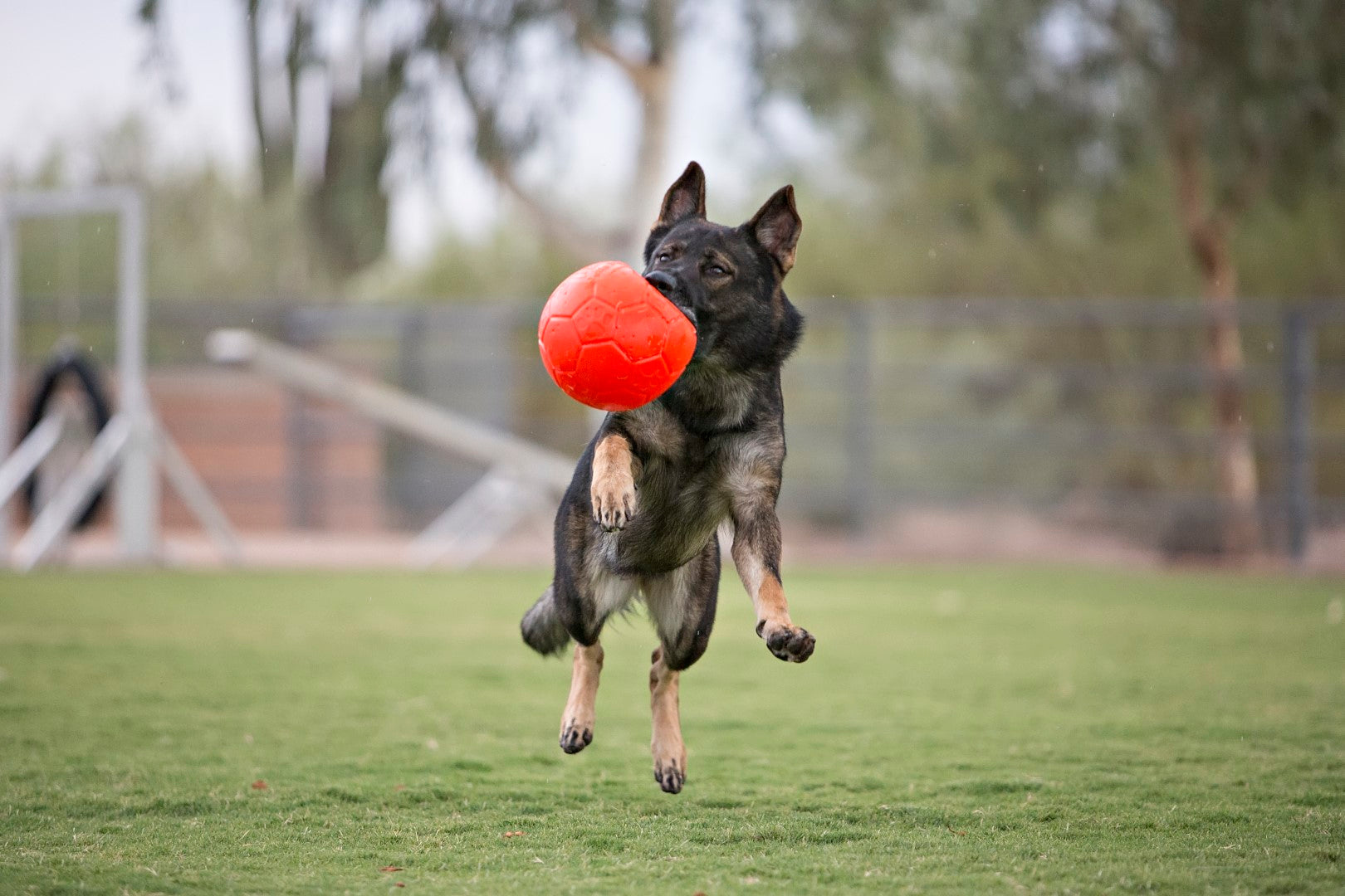 Jolly Soccer Ball