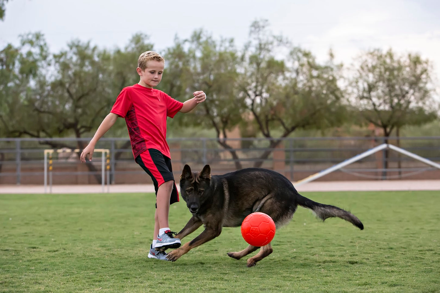 Jolly Soccer Ball